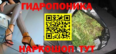 винт Краснодар