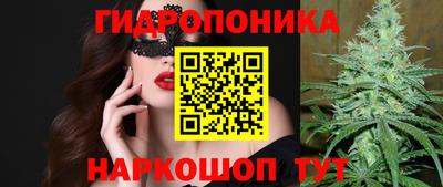 прущие крисы Краснознаменск