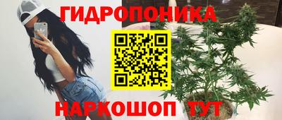 прущие крисы Краснознаменск