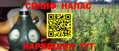 прущие крисы Краснознаменск