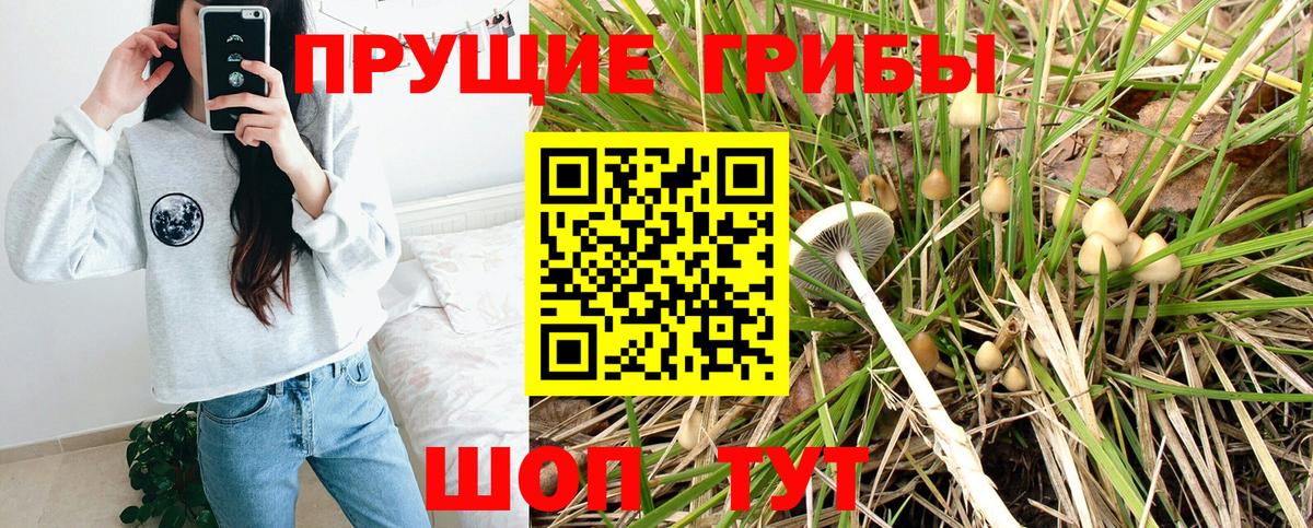 Галлюциногенные грибы мухоморы  Вход с VPN  Псилоцибиновые грибы Magic Shrooms  Екатеринбург 